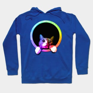 Peeking Circle Cat Hoodie